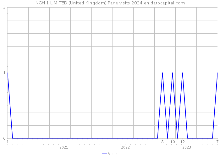 NGH 1 LIMITED (United Kingdom) Page visits 2024 