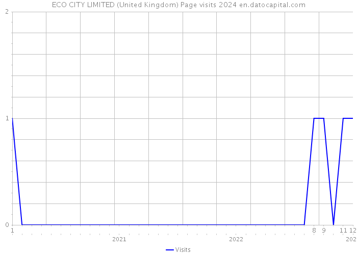 ECO CITY LIMITED (United Kingdom) Page visits 2024 