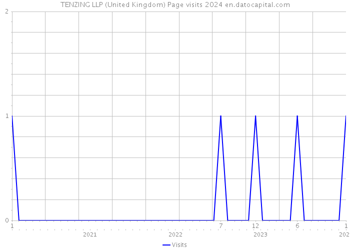 TENZING LLP (United Kingdom) Page visits 2024 