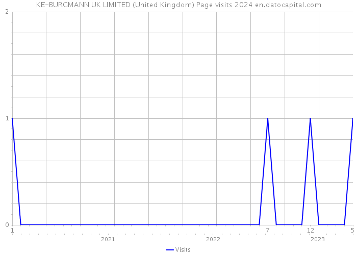 KE-BURGMANN UK LIMITED (United Kingdom) Page visits 2024 
