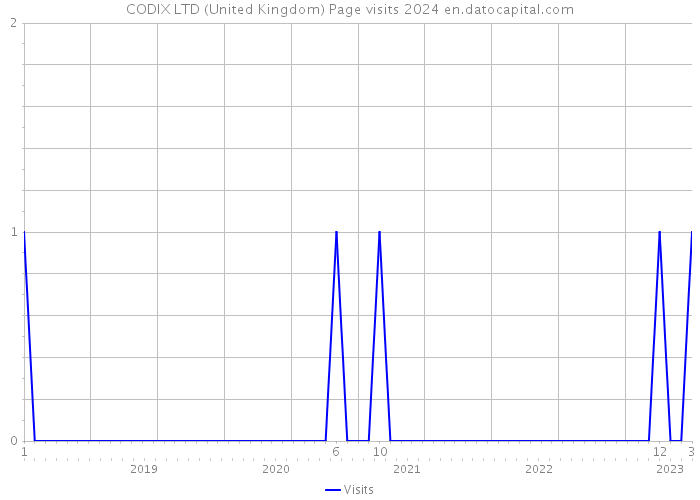 CODIX LTD (United Kingdom) Page visits 2024 