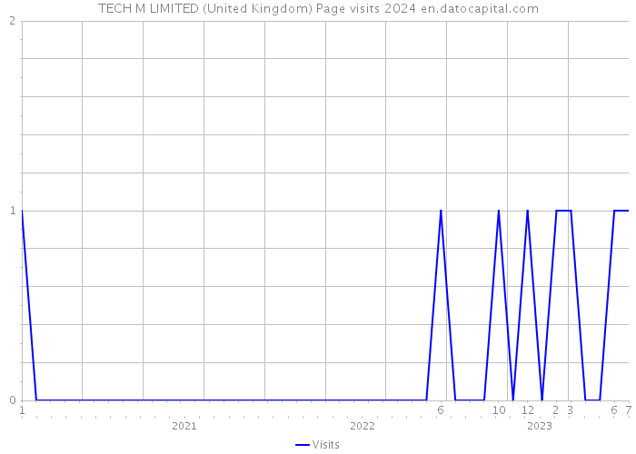 TECH M LIMITED (United Kingdom) Page visits 2024 