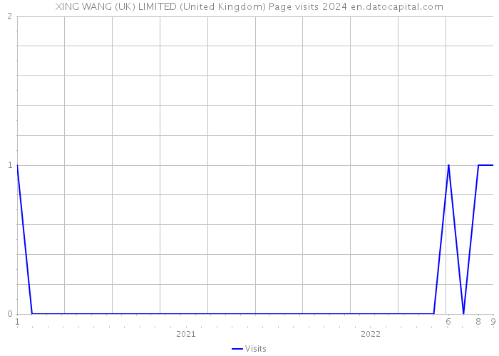 XING WANG (UK) LIMITED (United Kingdom) Page visits 2024 