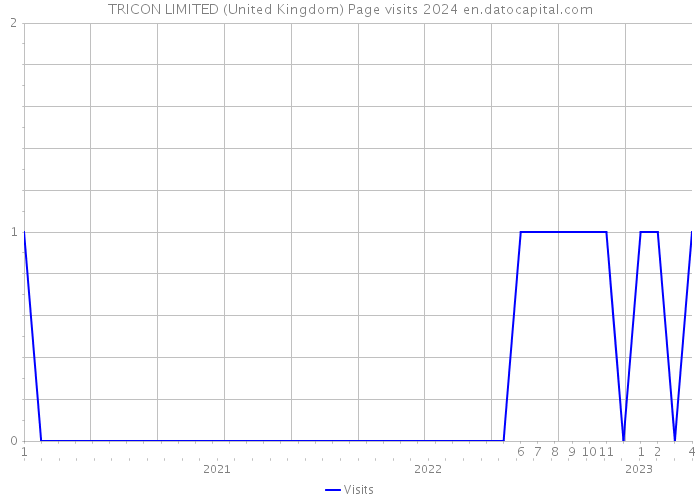 TRICON LIMITED (United Kingdom) Page visits 2024 