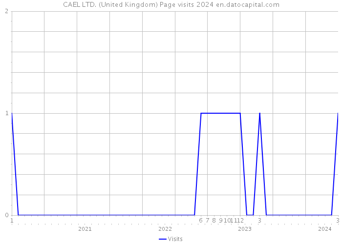 CAEL LTD. (United Kingdom) Page visits 2024 