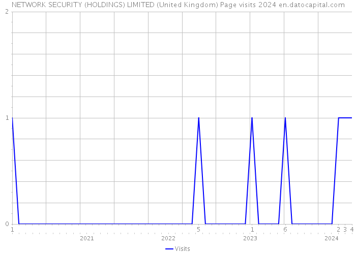 NETWORK SECURITY (HOLDINGS) LIMITED (United Kingdom) Page visits 2024 