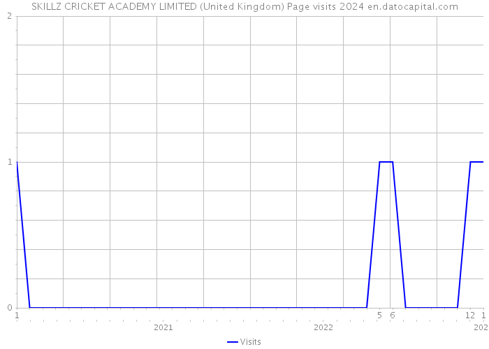 SKILLZ CRICKET ACADEMY LIMITED (United Kingdom) Page visits 2024 