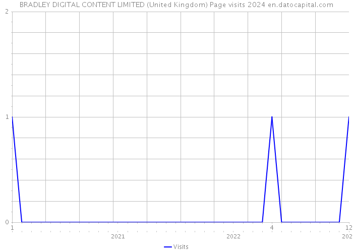 BRADLEY DIGITAL CONTENT LIMITED (United Kingdom) Page visits 2024 