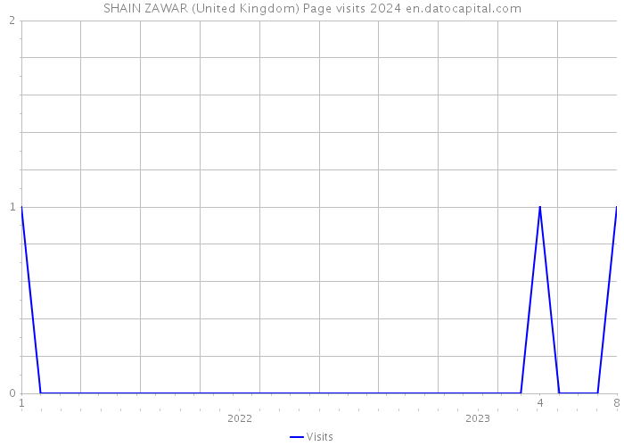 SHAIN ZAWAR (United Kingdom) Page visits 2024 