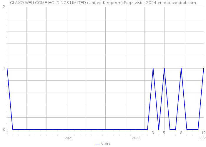 GLAXO WELLCOME HOLDINGS LIMITED (United Kingdom) Page visits 2024 