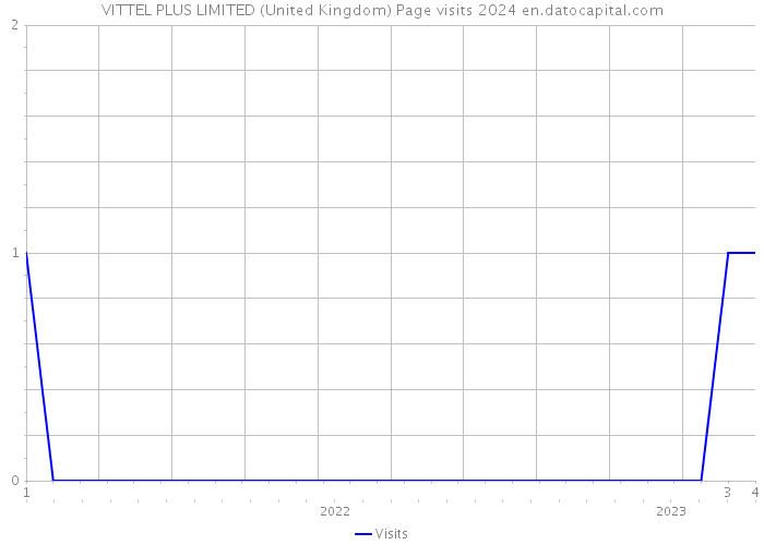 VITTEL PLUS LIMITED (United Kingdom) Page visits 2024 
