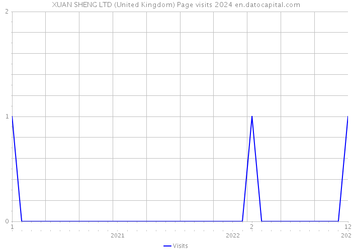 XUAN SHENG LTD (United Kingdom) Page visits 2024 