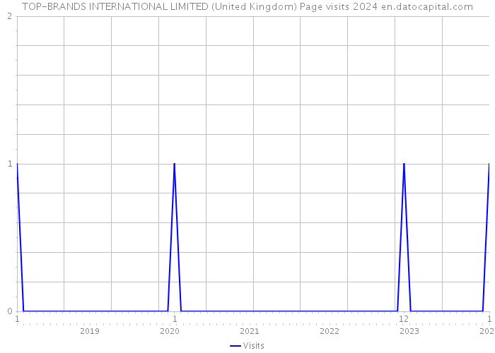 TOP-BRANDS INTERNATIONAL LIMITED (United Kingdom) Page visits 2024 