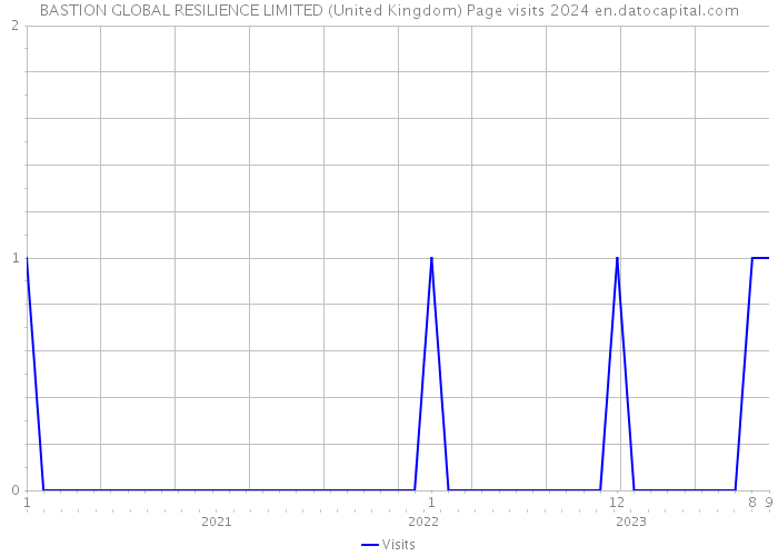 BASTION GLOBAL RESILIENCE LIMITED (United Kingdom) Page visits 2024 