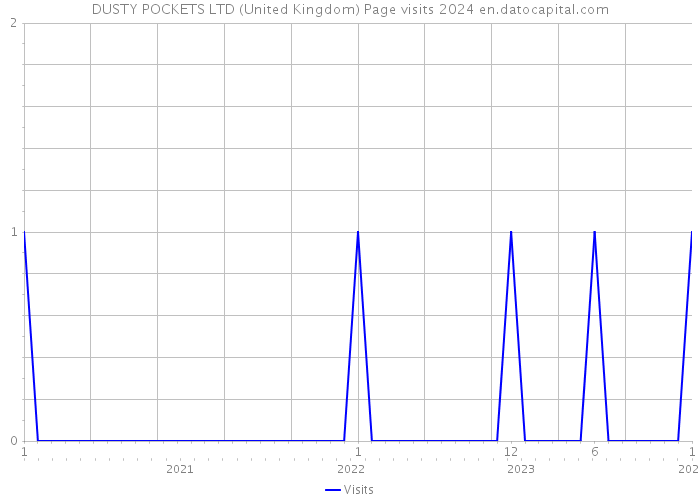 DUSTY POCKETS LTD (United Kingdom) Page visits 2024 