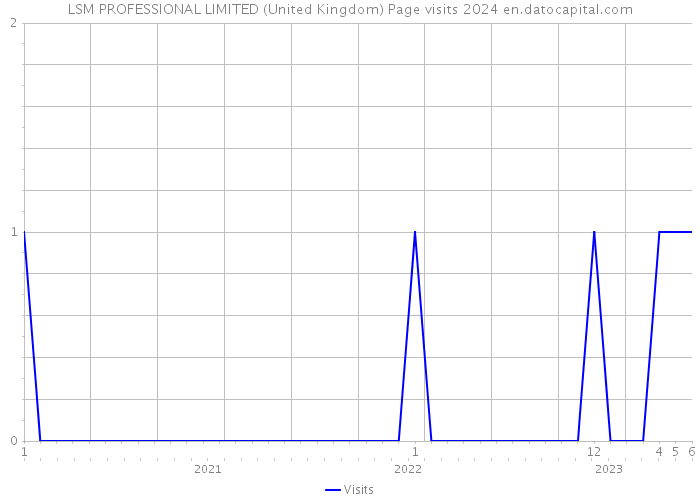 LSM PROFESSIONAL LIMITED (United Kingdom) Page visits 2024 