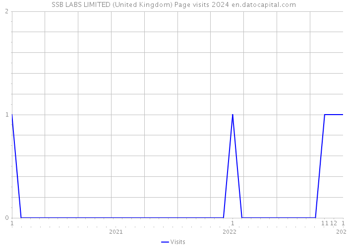 SSB LABS LIMITED (United Kingdom) Page visits 2024 