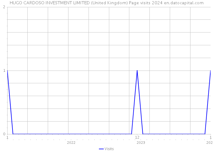 HUGO CARDOSO INVESTMENT LIMITED (United Kingdom) Page visits 2024 