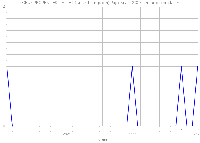 KOBUS PROPERTIES LIMITED (United Kingdom) Page visits 2024 