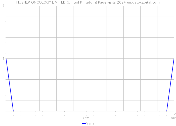 HUBNER ONCOLOGY LIMITED (United Kingdom) Page visits 2024 