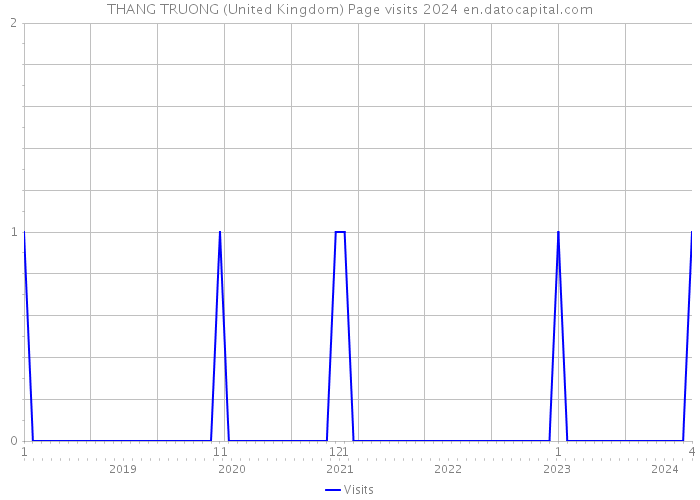 THANG TRUONG (United Kingdom) Page visits 2024 