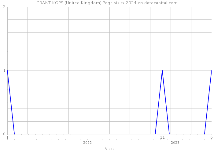 GRANT KOPS (United Kingdom) Page visits 2024 