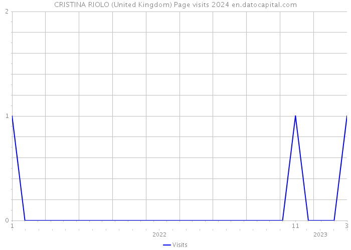 CRISTINA RIOLO (United Kingdom) Page visits 2024 