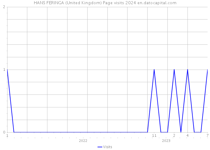 HANS FERINGA (United Kingdom) Page visits 2024 
