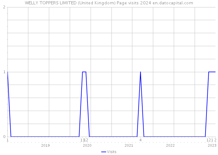 WELLY TOPPERS LIMITED (United Kingdom) Page visits 2024 