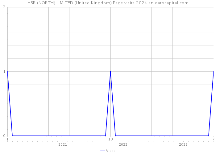 HBR (NORTH) LIMITED (United Kingdom) Page visits 2024 