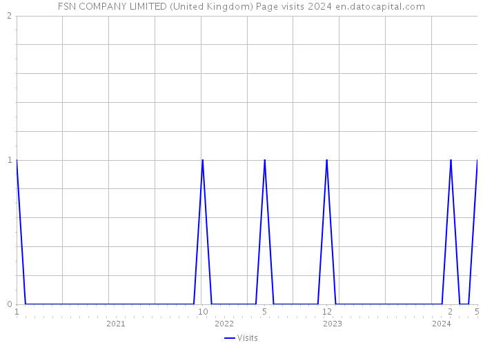 FSN COMPANY LIMITED (United Kingdom) Page visits 2024 