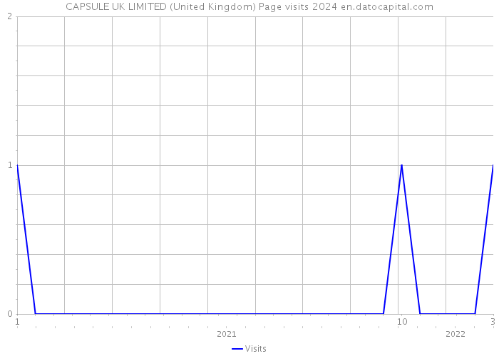 CAPSULE UK LIMITED (United Kingdom) Page visits 2024 
