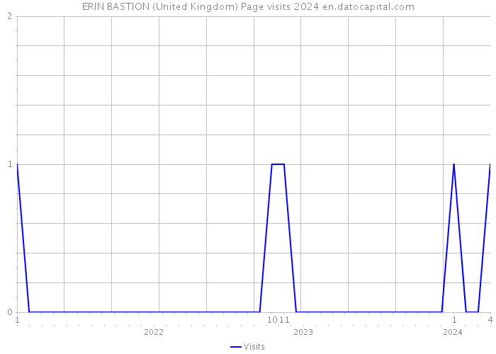 ERIN BASTION (United Kingdom) Page visits 2024 