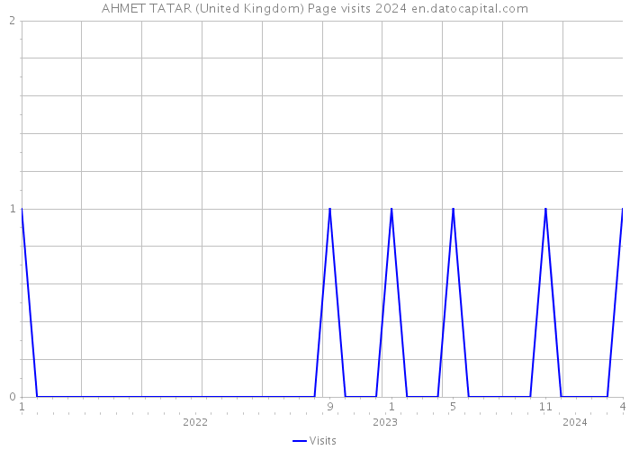 AHMET TATAR (United Kingdom) Page visits 2024 