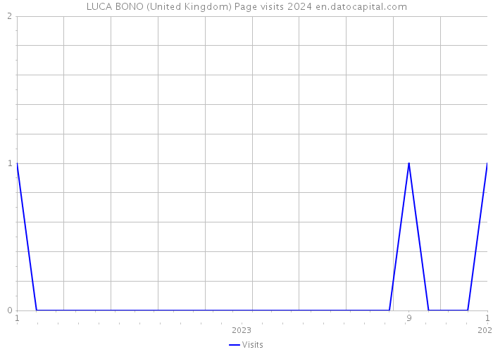 LUCA BONO (United Kingdom) Page visits 2024 