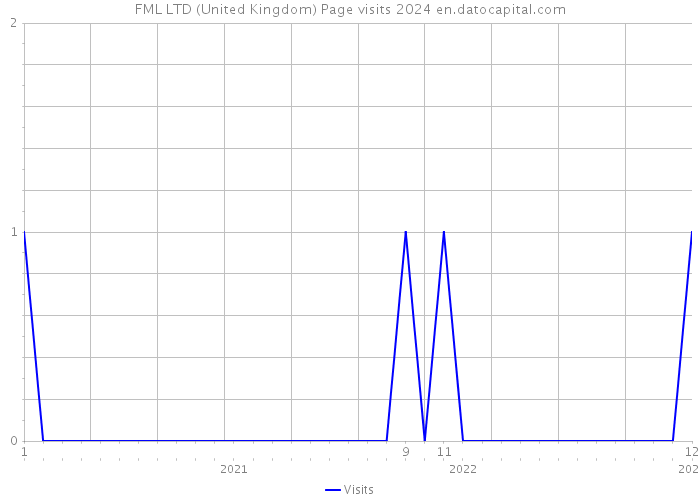 FML LTD (United Kingdom) Page visits 2024 