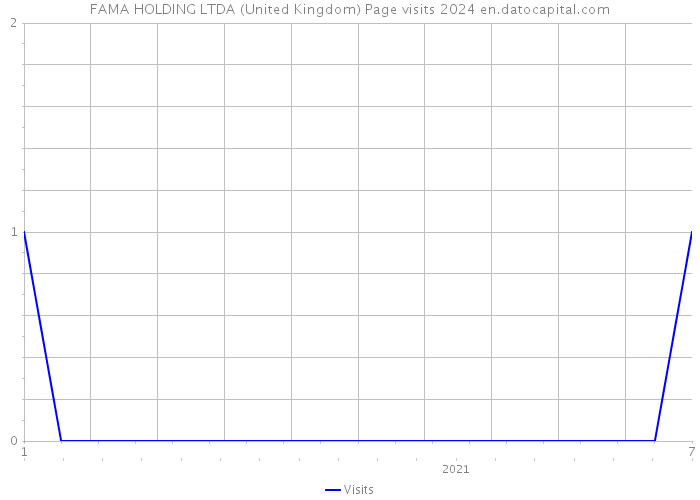 FAMA HOLDING LTDA (United Kingdom) Page visits 2024 