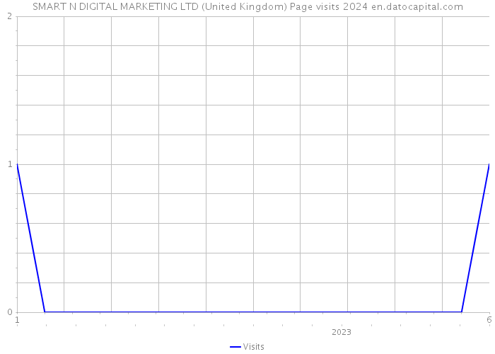 SMART N DIGITAL MARKETING LTD (United Kingdom) Page visits 2024 