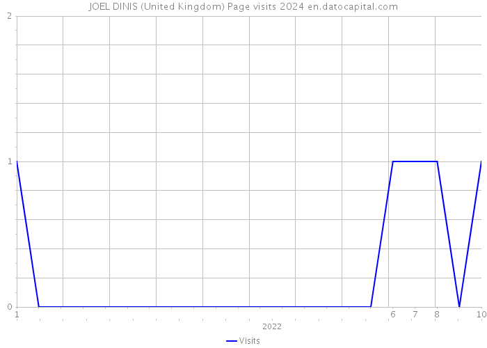 JOEL DINIS (United Kingdom) Page visits 2024 