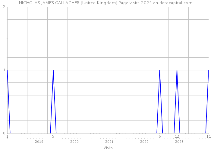 NICHOLAS JAMES GALLAGHER (United Kingdom) Page visits 2024 