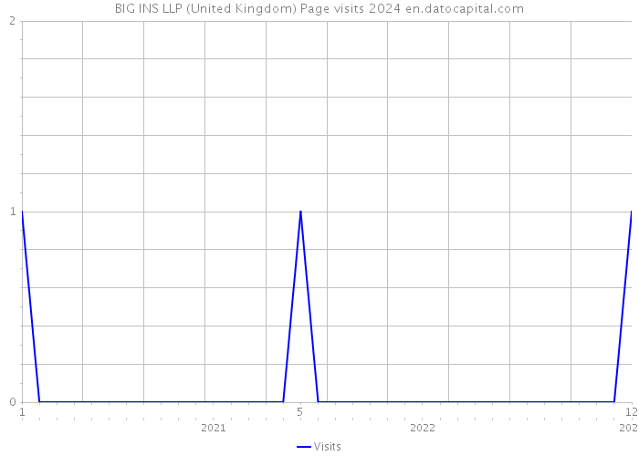 BIG INS LLP (United Kingdom) Page visits 2024 