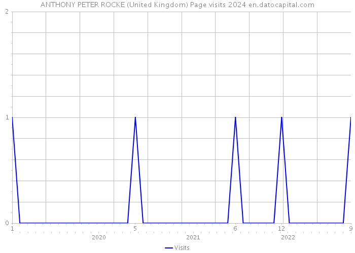 ANTHONY PETER ROCKE (United Kingdom) Page visits 2024 