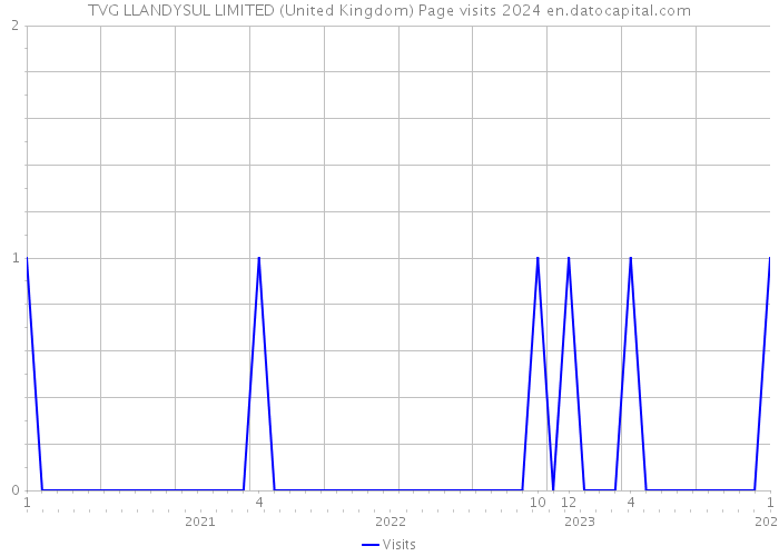TVG LLANDYSUL LIMITED (United Kingdom) Page visits 2024 