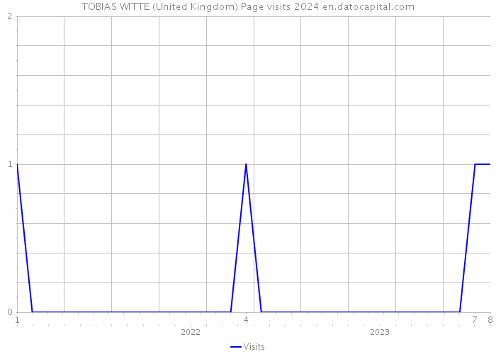 TOBIAS WITTE (United Kingdom) Page visits 2024 