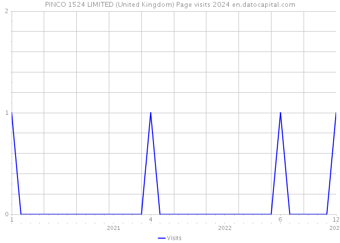 PINCO 1524 LIMITED (United Kingdom) Page visits 2024 