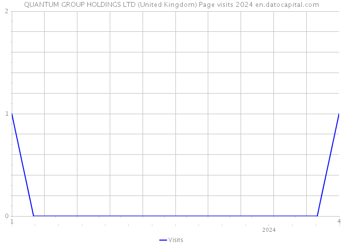 QUANTUM GROUP HOLDINGS LTD (United Kingdom) Page visits 2024 