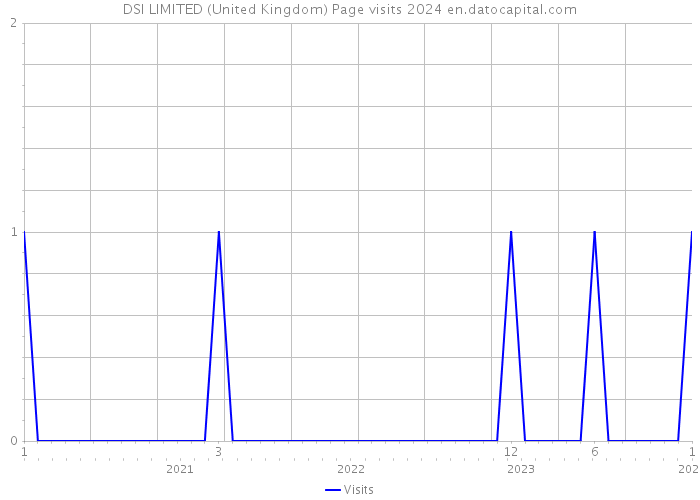 DSI LIMITED (United Kingdom) Page visits 2024 