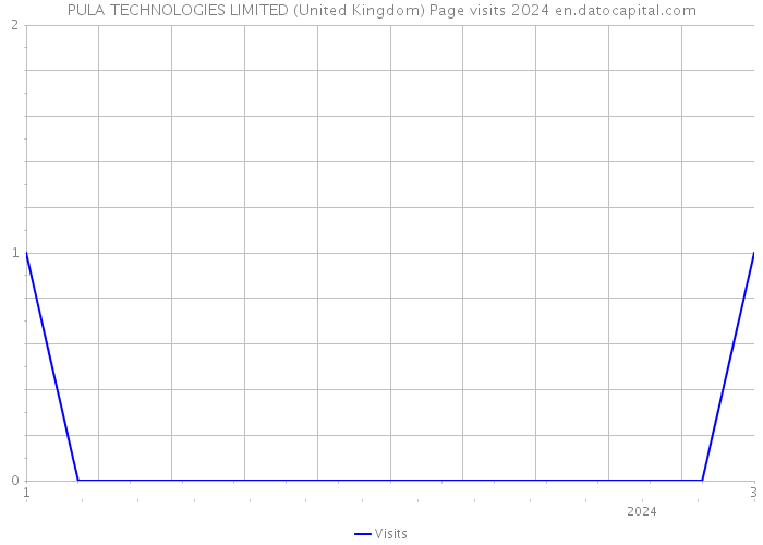 PULA TECHNOLOGIES LIMITED (United Kingdom) Page visits 2024 