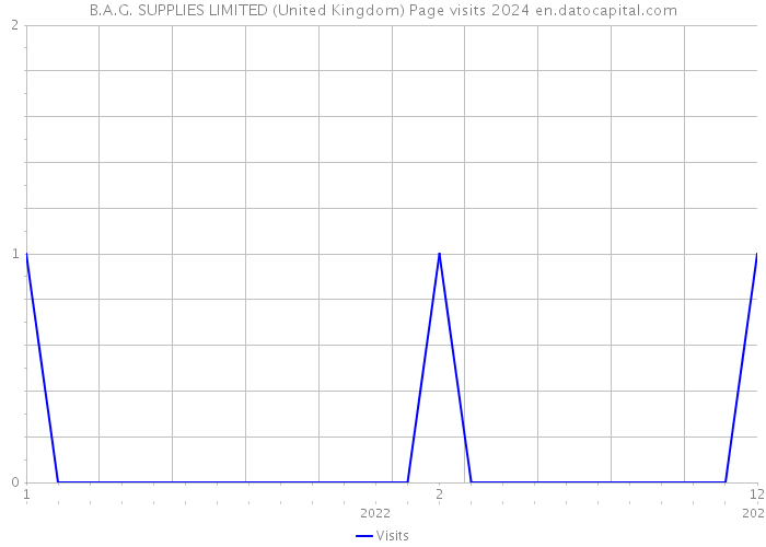 B.A.G. SUPPLIES LIMITED (United Kingdom) Page visits 2024 