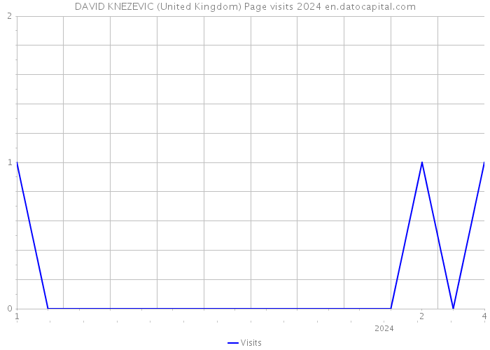 DAVID KNEZEVIC (United Kingdom) Page visits 2024 